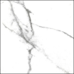 Bianco Venatino