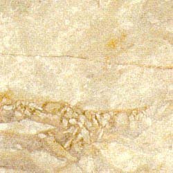 Antique Beige