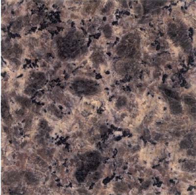 Leopard Brown
